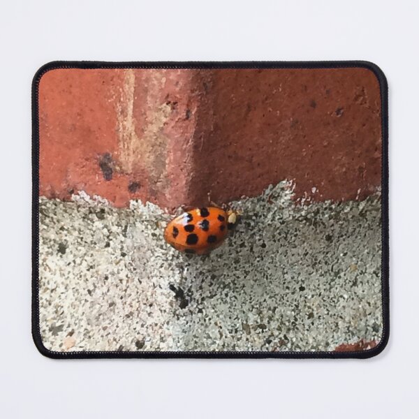 Item preview, Ladybug Wish designed and sold by BAShort.