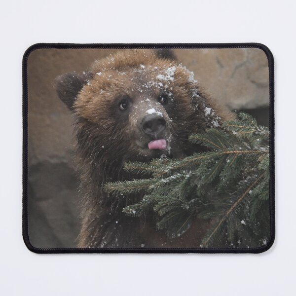 Item preview, Covered In Snow designed and sold by Kim Pruim.