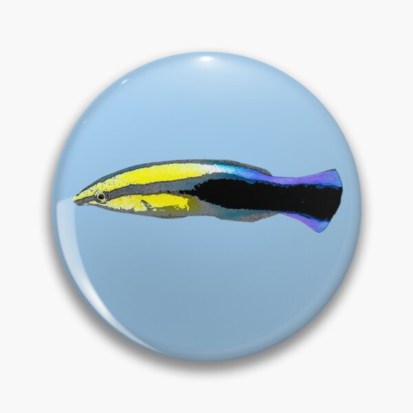 Item preview, Bluestreak Cleaner Wrasse Color Design  designed and sold by designsasstultd.