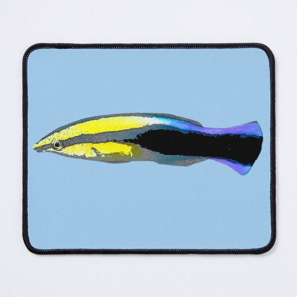 Item preview, Bluestreak Cleaner Wrasse Color Design  designed and sold by designsasstultd.