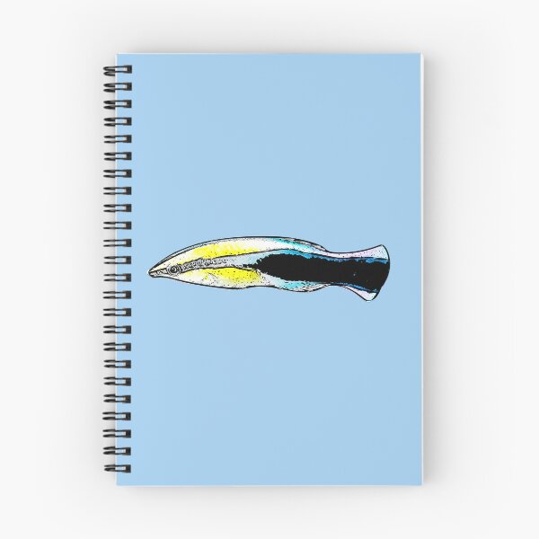 Item preview, Bluestreak Cleaner Wrasse Black Alternate Design  designed and sold by designsasstultd.