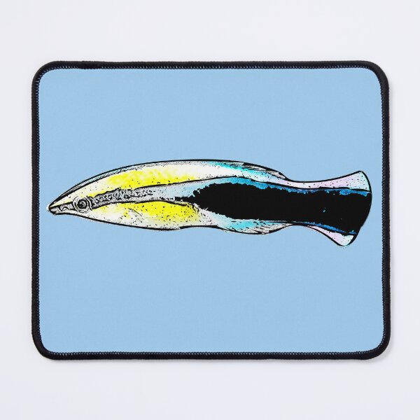 Item preview, Bluestreak Cleaner Wrasse Black Alternate Design  designed and sold by designsasstultd.