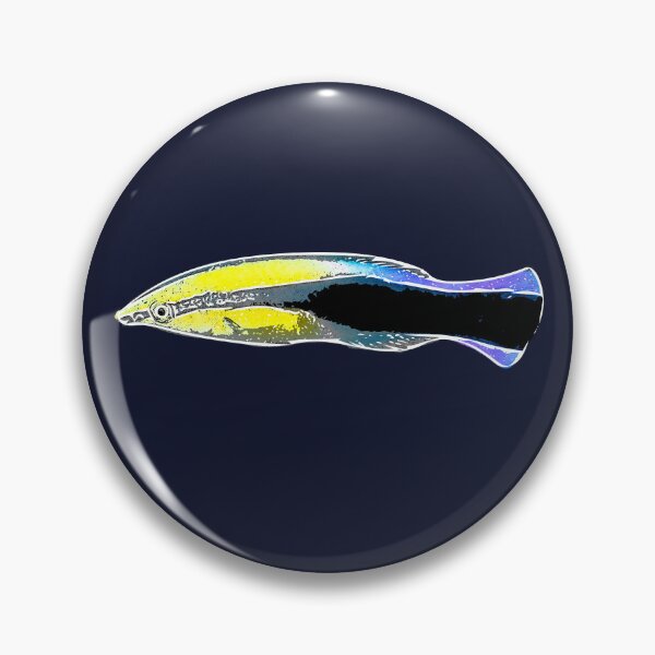 Item preview, Bluestreak Cleaner Wrasse White Alternate Design  designed and sold by designsasstultd.