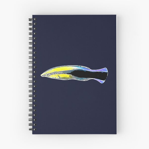 Item preview, Bluestreak Cleaner Wrasse White Alternate Design  designed and sold by designsasstultd.