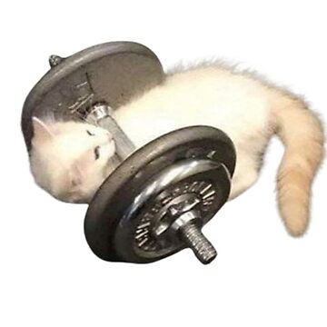 Artwork thumbnail, Gym kitty by syux