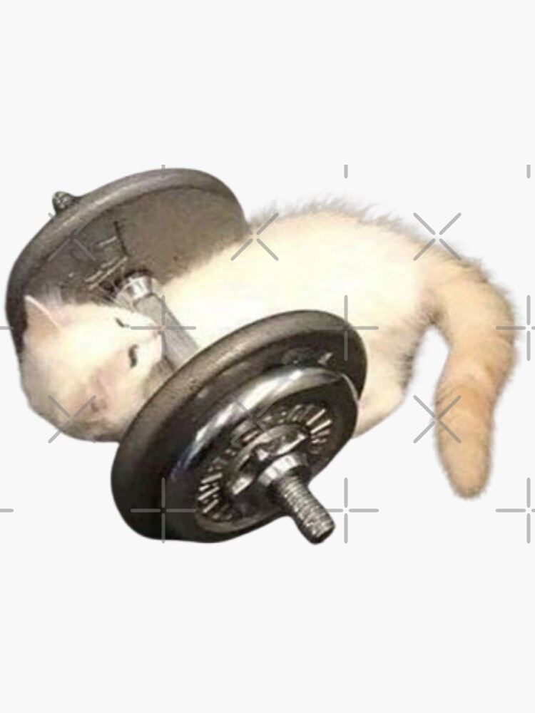 Thumbnail 3 of 3, Sticker, Gym kitty designed and sold by Innocent1234.