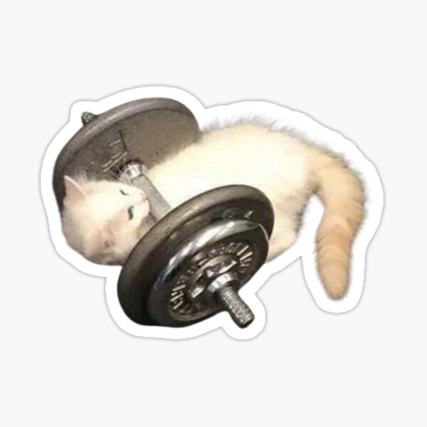 Item preview, Gym kitty designed and sold by syux.