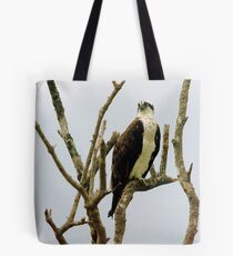 Osprey in naked tree Tote Bag