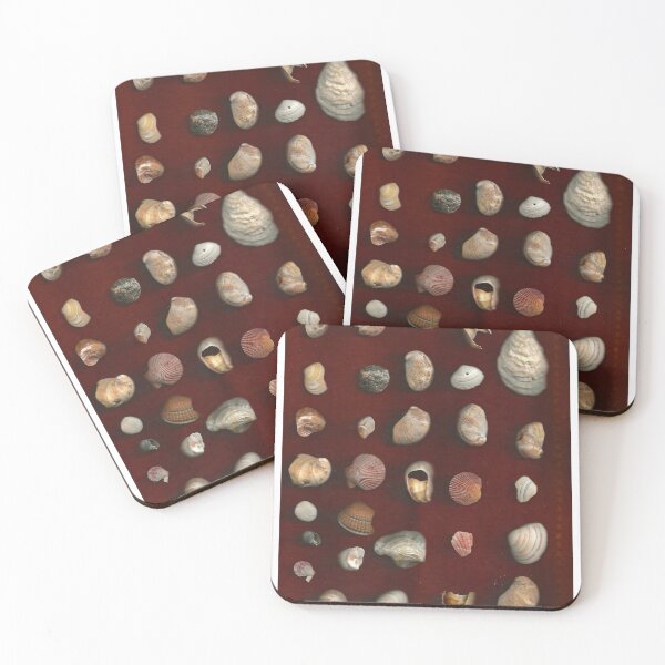 Item preview, Shells designed and sold by Anya's Crafts.