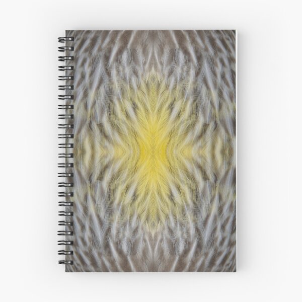 Item preview, Wattle Bird Feathers at Magpie Springs by Adelaide Artist Avril Thomas designed and sold by MagpieSprings.