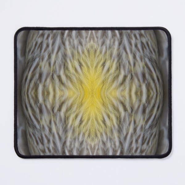 Item preview, Wattle Bird Feathers at Magpie Springs by Adelaide Artist Avril Thomas designed and sold by MagpieSprings.