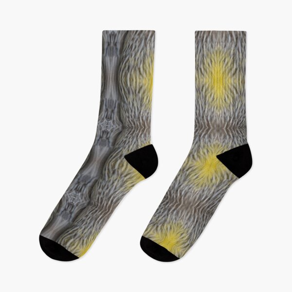 Item preview, Wattle Bird Feathers at Magpie Springs by Adelaide Artist Avril Thomas designed and sold by MagpieSprings.