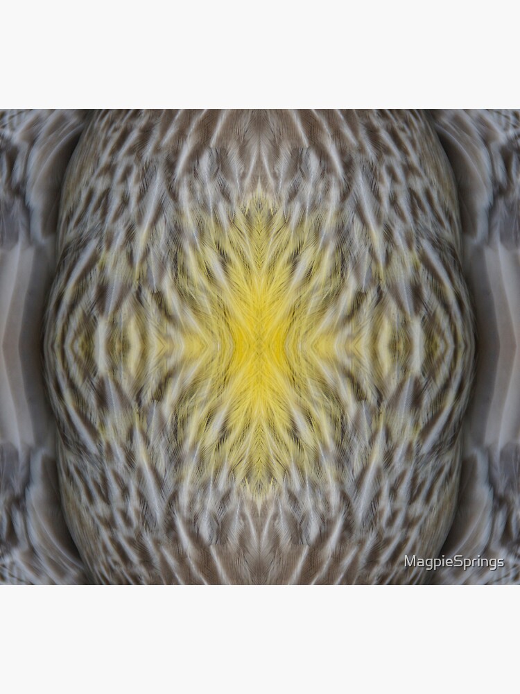 Thumbnail 3 of 3, Sticker, Wattle Bird Feathers at Magpie Springs by Adelaide Artist Avril Thomas designed and sold by MagpieSprings.