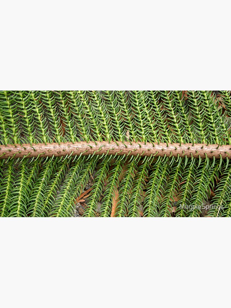 Thumbnail 3 of 3, Sticker, Norfolk Island Pine at Magpie Springs by Avril Thomas designed and sold by MagpieSprings.