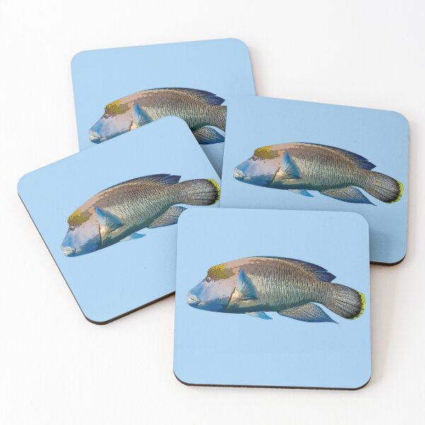 Item preview, Maori Humphead Wrasse Color Design  designed and sold by designsasstultd.