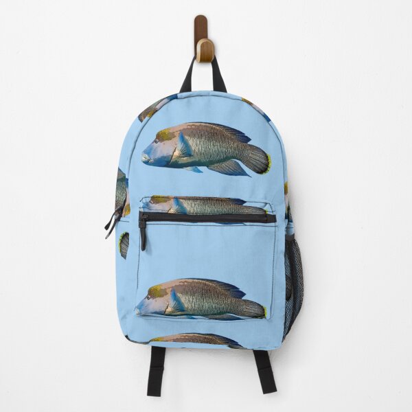 Item preview, Maori Humphead Wrasse Color Design designed and sold by designsasstultd.