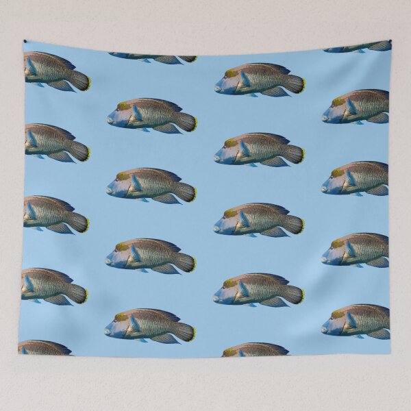 Item preview, Maori Humphead Wrasse Color Design  designed and sold by designsasstultd.