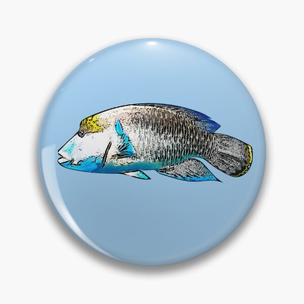 Item preview, Maori Humphead Wrasse Black Alternate Design  designed and sold by designsasstultd.