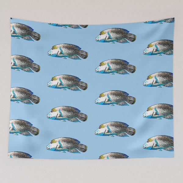 Item preview, Maori Humphead Wrasse Black Alternate Design  designed and sold by designsasstultd.