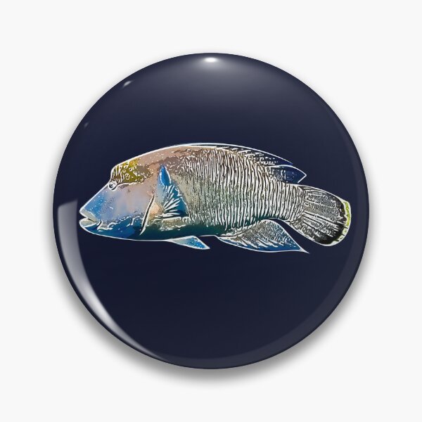 Item preview, Maori Humphead Wrasse White Alternate Design  designed and sold by designsasstultd.