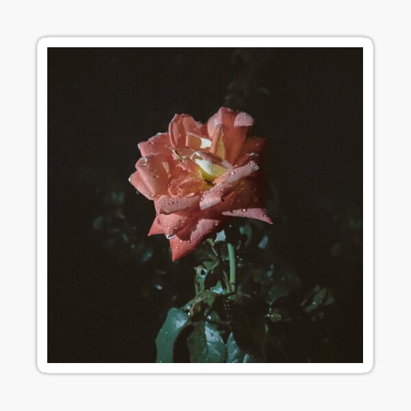 Item preview, Romantic designed and sold by Laurenrfphoto.