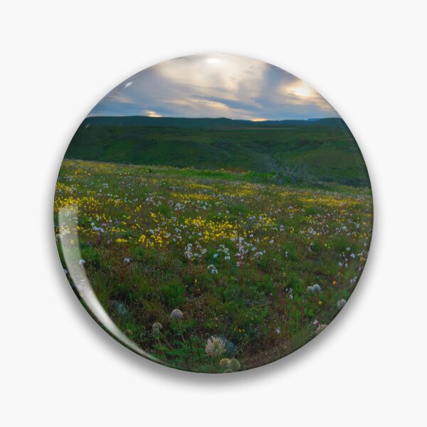 Item preview, Big Headed Clover Sunset designed and sold by DawsonImages.