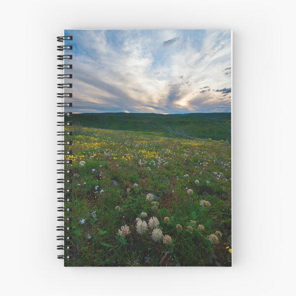 Item preview, Big Headed Clover Sunset designed and sold by DawsonImages.
