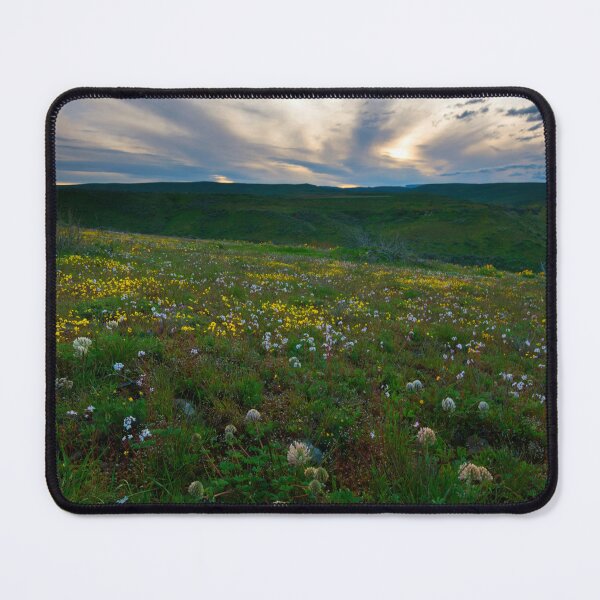 Item preview, Big Headed Clover Sunset designed and sold by DawsonImages.