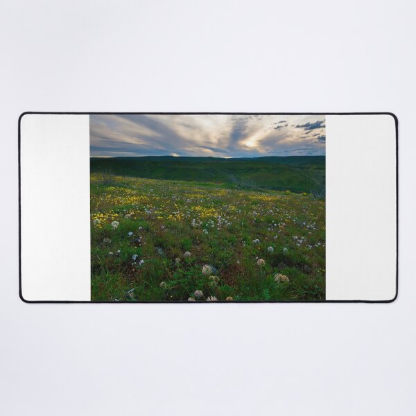 Item preview, Big Headed Clover Sunset designed and sold by DawsonImages.
