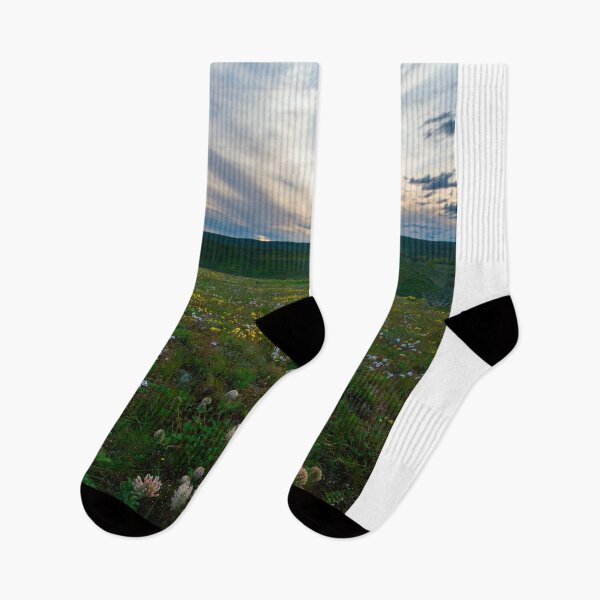 Item preview, Big Headed Clover Sunset designed and sold by DawsonImages.