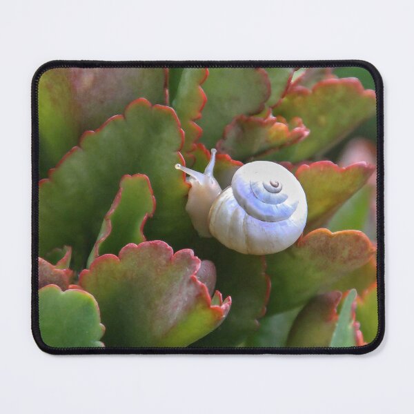 Item preview, Mr. Snail designed and sold by heatherfriedman.