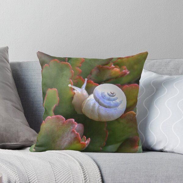 Item preview, Mr. Snail designed and sold by heatherfriedman.