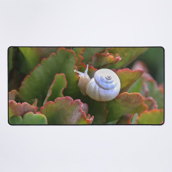 Item preview, Mr. Snail designed and sold by heatherfriedman.