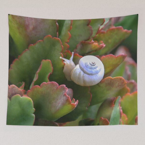 Item preview, Mr. Snail designed and sold by heatherfriedman.