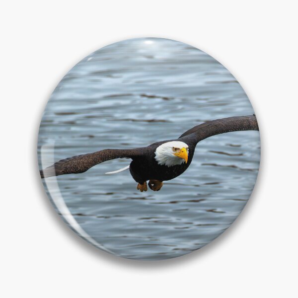 Item preview, Gliding Over the Water designed and sold by DawsonImages.