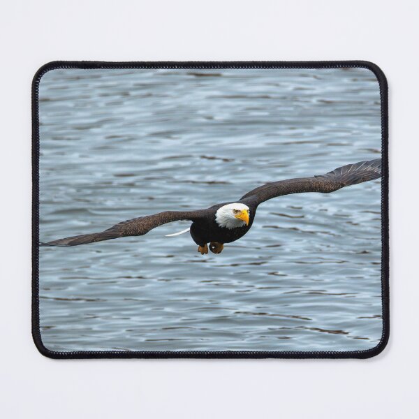Item preview, Gliding Over the Water designed and sold by DawsonImages.