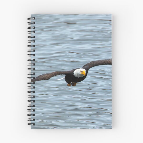 Item preview, Gliding Over the Water designed and sold by DawsonImages.