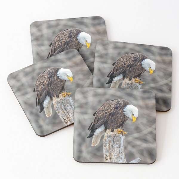 Item preview, Don't Make Me Come Down designed and sold by DawsonImages.