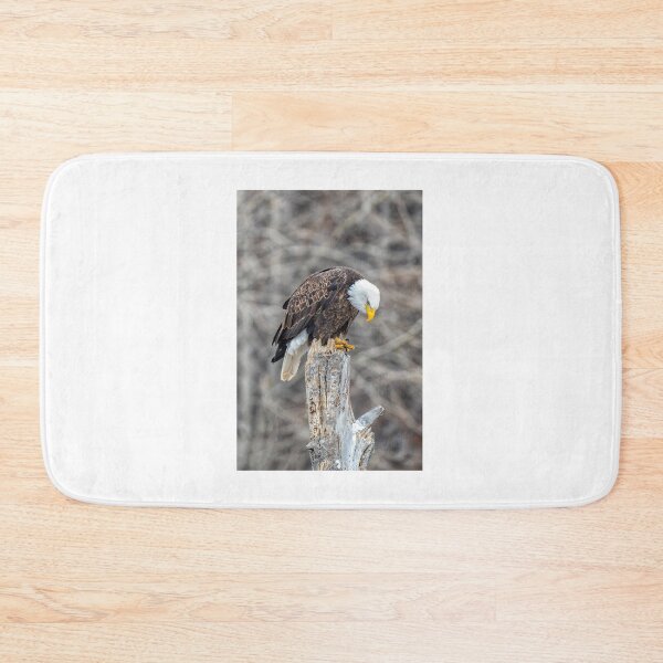 Item preview, Don't Make Me Come Down designed and sold by DawsonImages.