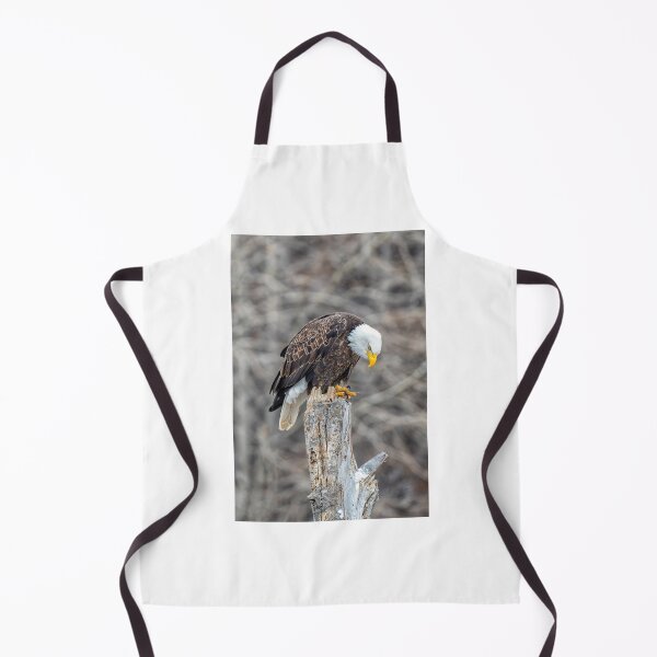 Item preview, Don't Make Me Come Down designed and sold by DawsonImages.