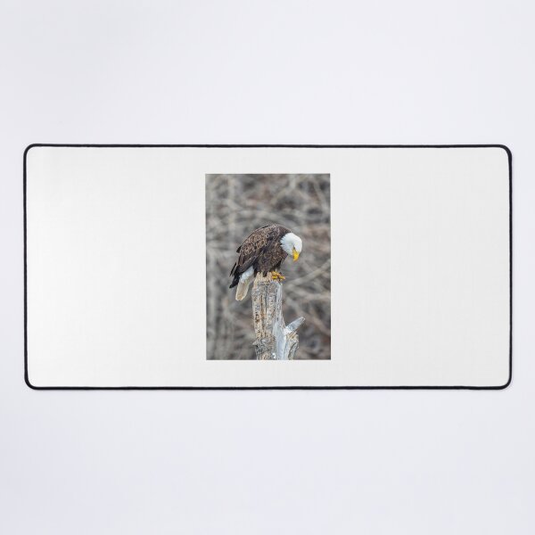 Item preview, Don't Make Me Come Down designed and sold by DawsonImages.