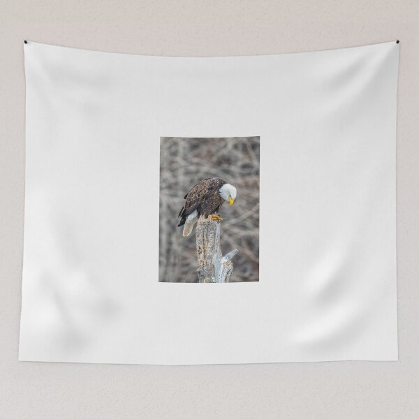 Item preview, Don't Make Me Come Down designed and sold by DawsonImages.