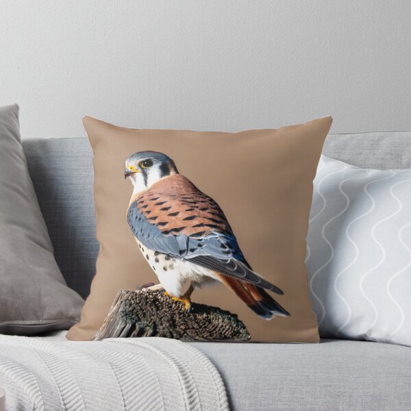 Item preview, American Kestrel Perched designed and sold by DawsonImages.