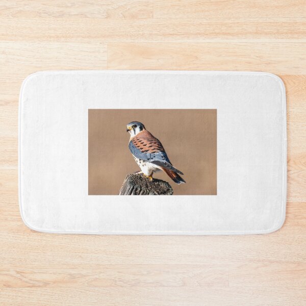 Item preview, American Kestrel Perched designed and sold by DawsonImages.