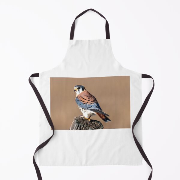 Item preview, American Kestrel Perched designed and sold by DawsonImages.
