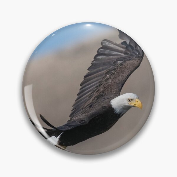 Item preview, Eagle Eye designed and sold by DawsonImages.