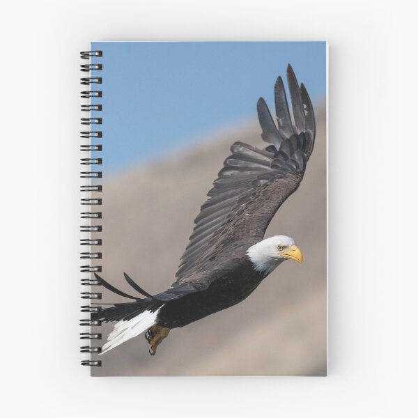 Item preview, Eagle Eye designed and sold by DawsonImages.