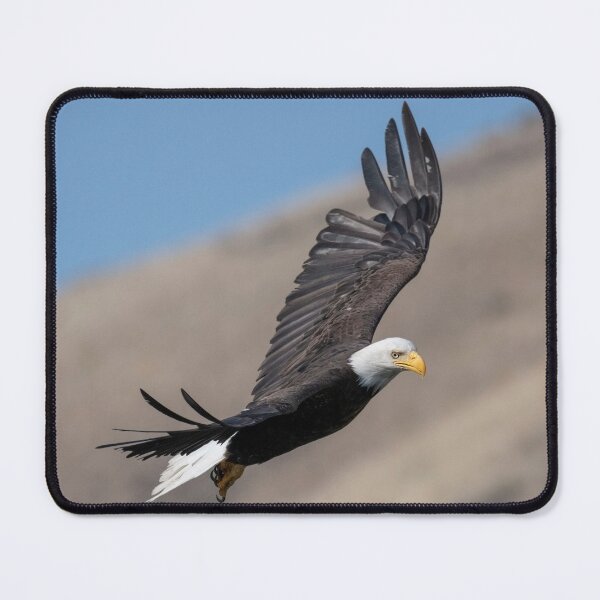 Item preview, Eagle Eye designed and sold by DawsonImages.