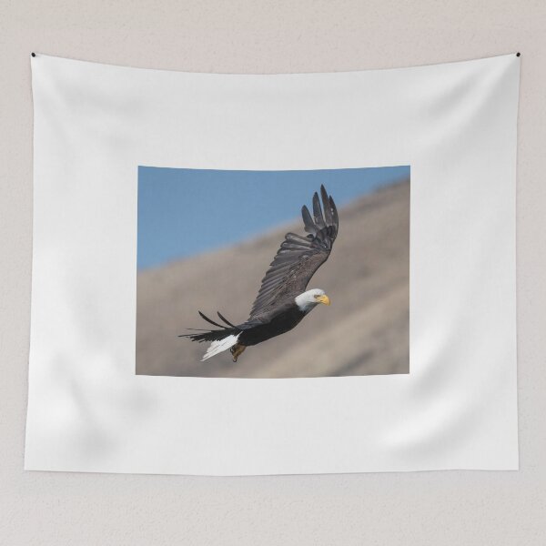 Item preview, Eagle Eye designed and sold by DawsonImages.