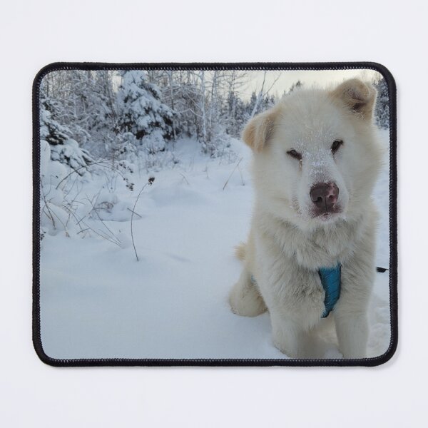 Item preview, Eskimo dog designed and sold by Espritlibre3.